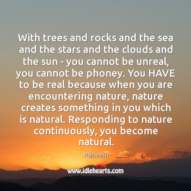 With trees and rocks and the sea and the stars and the Image