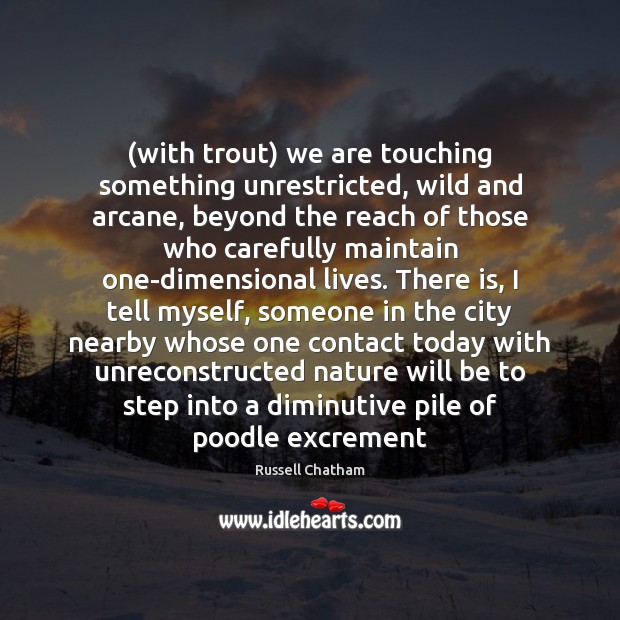 (with trout) we are touching something unrestricted, wild and arcane, beyond the Image