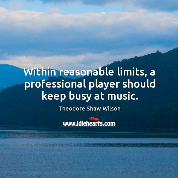 Within reasonable limits, a professional player should keep busy at music. Theodore Shaw Wilson Picture Quote