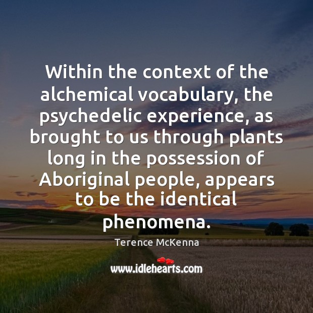 Within the context of the alchemical vocabulary, the psychedelic experience, as brought 