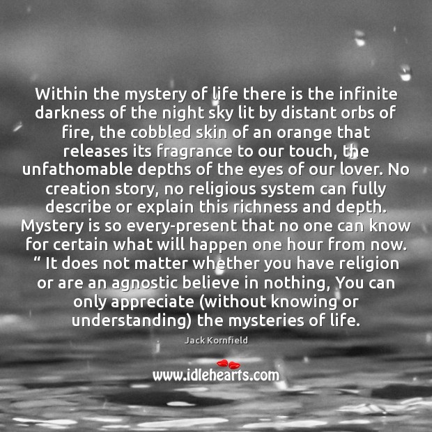 Within the mystery of life there is the infinite darkness of the Understanding Quotes Image