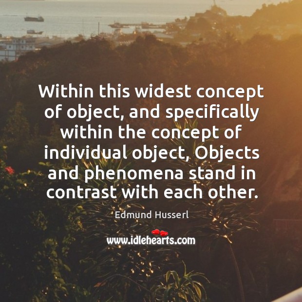 Within this widest concept of object, and specifically within the concept of individual object Edmund Husserl Picture Quote