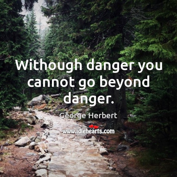 Withough danger you cannot go beyond danger. Image
