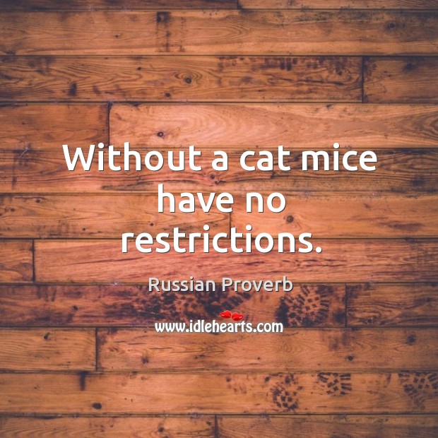 Without a cat mice have no restrictions. Image