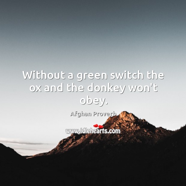 Without a green switch the ox and the donkey won’t obey. Afghan Proverbs Image