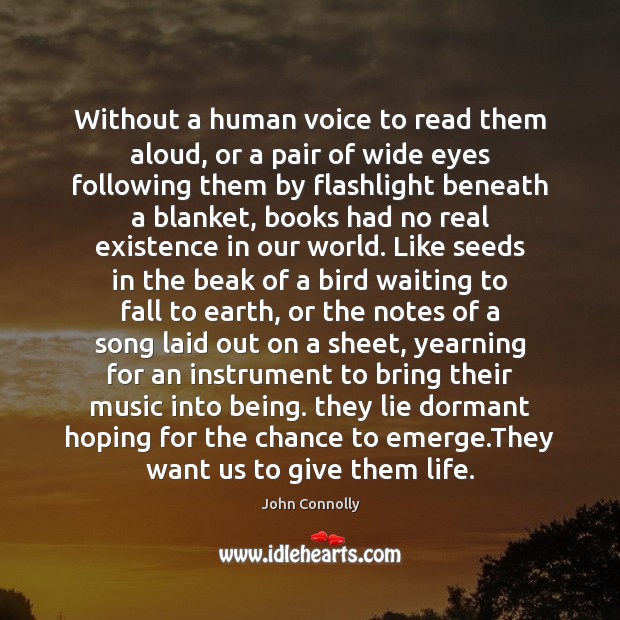 Without a human voice to read them aloud, or a pair of Image