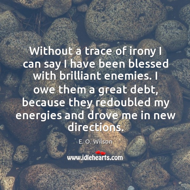 Without a trace of irony I can say I have been blessed with brilliant enemies. E. O. Wilson Picture Quote