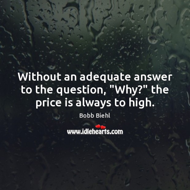 Without an adequate answer to the question, “Why?” the price is always to high. Bobb Biehl Picture Quote