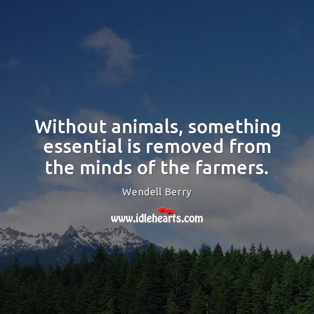 Without animals, something essential is removed from the minds of the farmers. Wendell Berry Picture Quote