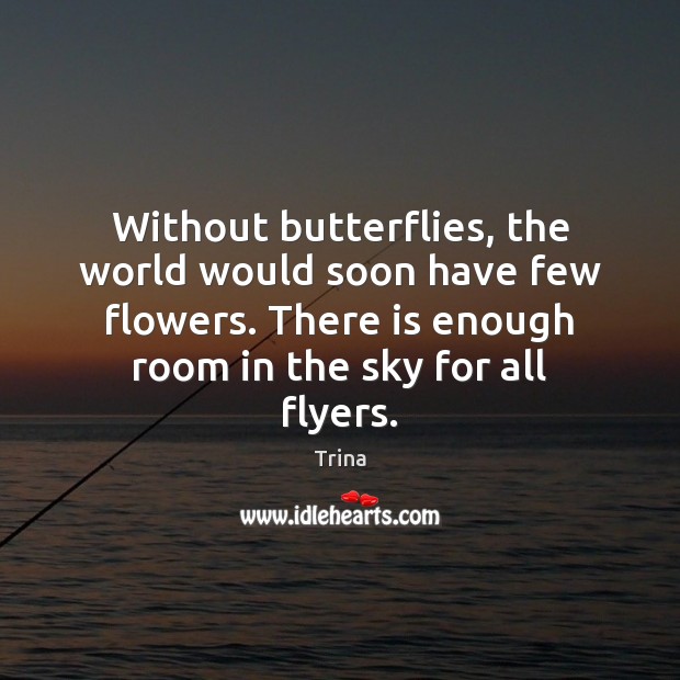 Without butterflies, the world would soon have few flowers. There is enough Image