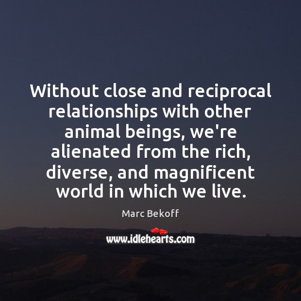 Without close and reciprocal relationships with other animal beings, we’re alienated from Marc Bekoff Picture Quote