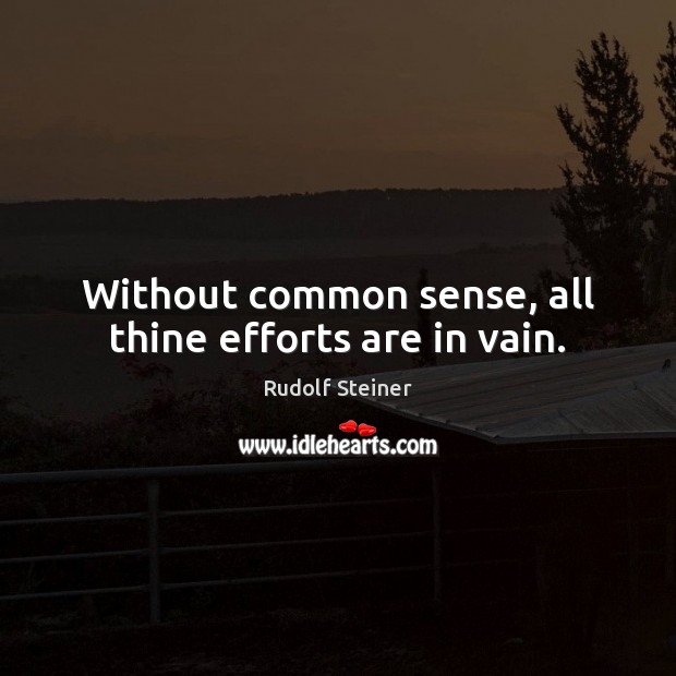 Without common sense, all thine efforts are in vain. Rudolf Steiner Picture Quote
