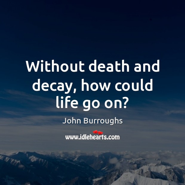 Without death and decay, how could life go on? John Burroughs Picture Quote