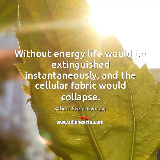 Without energy life would be extinguished instantaneously, and the cellular fabric would collapse. Albert Szent-Gyorgyi Picture Quote