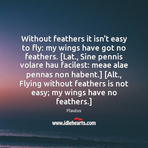 Without feathers it isn’t easy to fly: my wings have got no Image