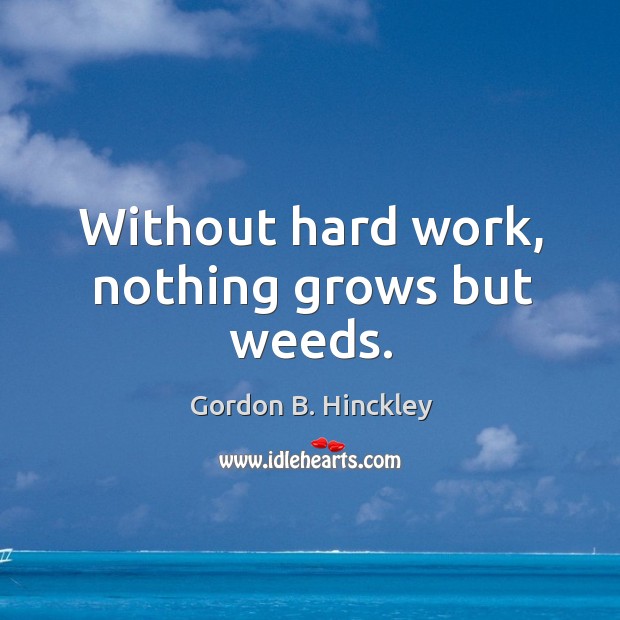 Without hard work, nothing grows but weeds. Gordon B. Hinckley Picture Quote