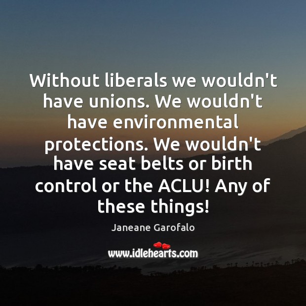 Without liberals we wouldn’t have unions. We wouldn’t have environmental protections. We Janeane Garofalo Picture Quote