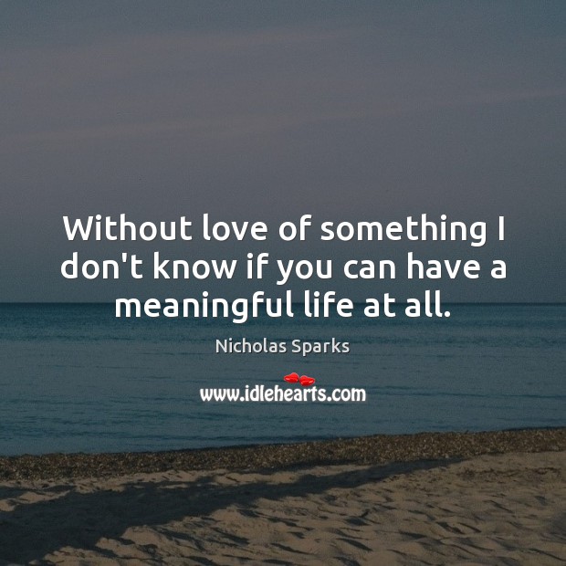 Without love of something I don’t know if you can have a meaningful life at all. Nicholas Sparks Picture Quote