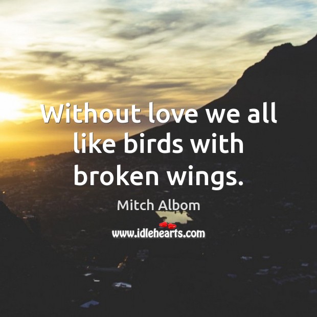 Without love we all like birds with broken wings. Mitch Albom Picture Quote