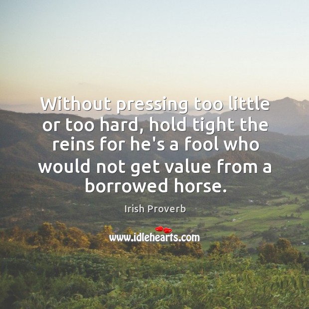 Without pressing too little or too hard, hold tight the reins for he’s a fool who would not get value from a borrowed horse. Irish Proverbs Image