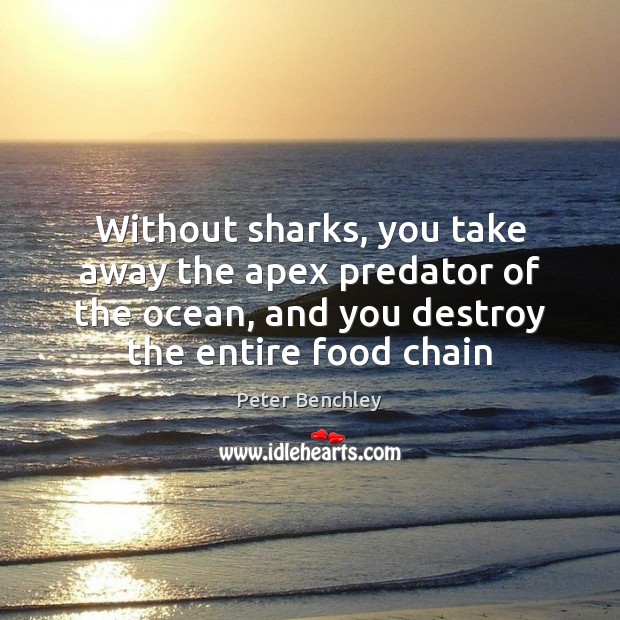 Without sharks, you take away the apex predator of the ocean, and Food Quotes Image