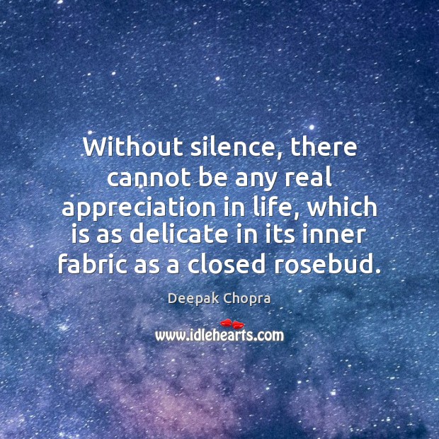 Without silence, there cannot be any real appreciation in life, which is 