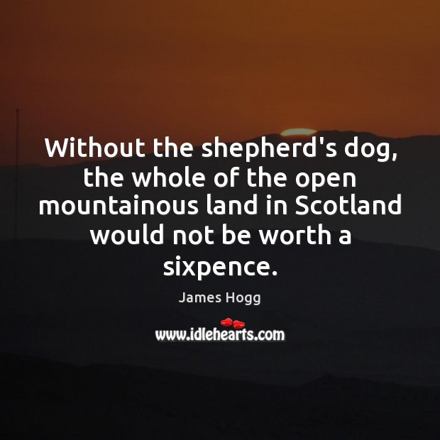 Without the shepherd’s dog, the whole of the open mountainous land in James Hogg Picture Quote