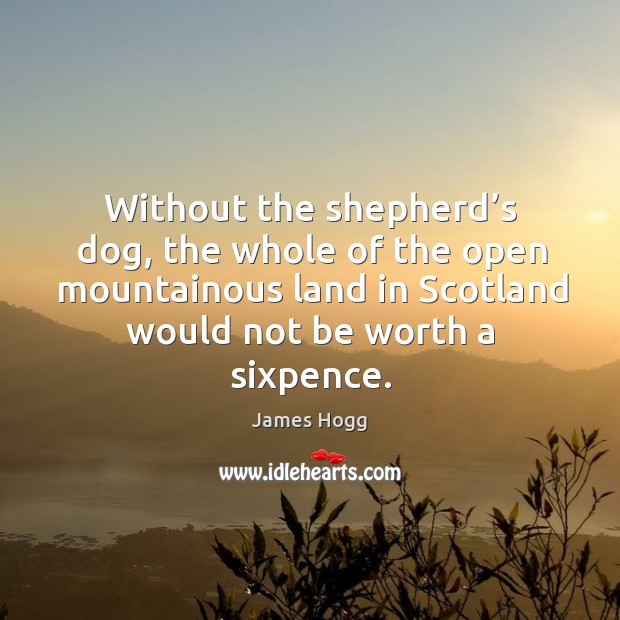 Without the shepherd’s dog, the whole of the open mountainous land in scotland would not be worth a sixpence. James Hogg Picture Quote