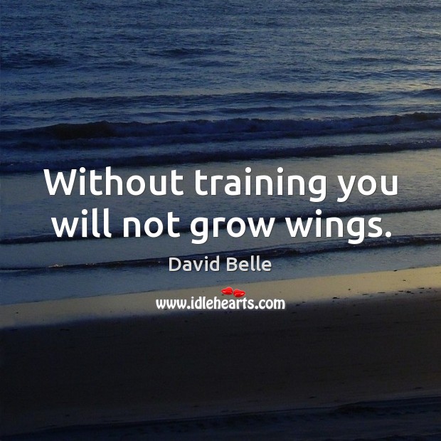 Without training you will not grow wings. Image