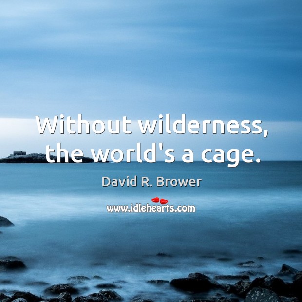 Without wilderness, the world’s a cage. David R. Brower Picture Quote