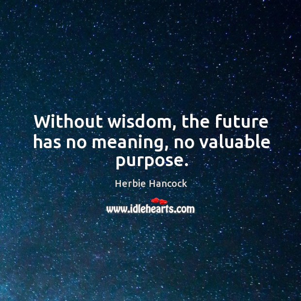 Without wisdom, the future has no meaning, no valuable purpose. Herbie Hancock Picture Quote