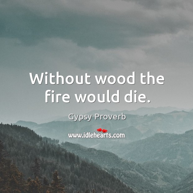 Without wood the fire would die. Image