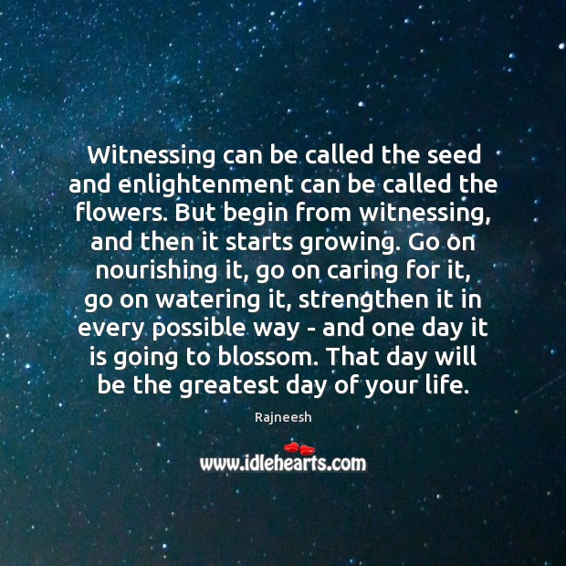 Witnessing can be called the seed and enlightenment can be called the Rajneesh Picture Quote