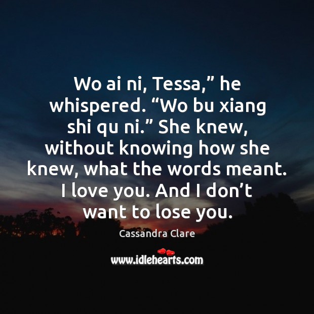Wo ai ni, Tessa,” he whispered. “Wo bu xiang shi qu ni.” Image