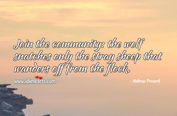Join the community: the wolf snatches only the stray sheep that wanders off from the flock. Hebrew Proverbs Image