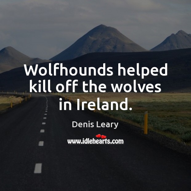 Wolfhounds helped kill off the wolves in Ireland. Denis Leary Picture Quote