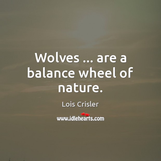Wolves … are a balance wheel of nature. Image