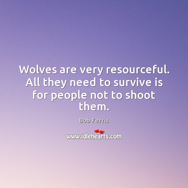 Wolves are very resourceful. All they need to survive is for people not to shoot them. Image