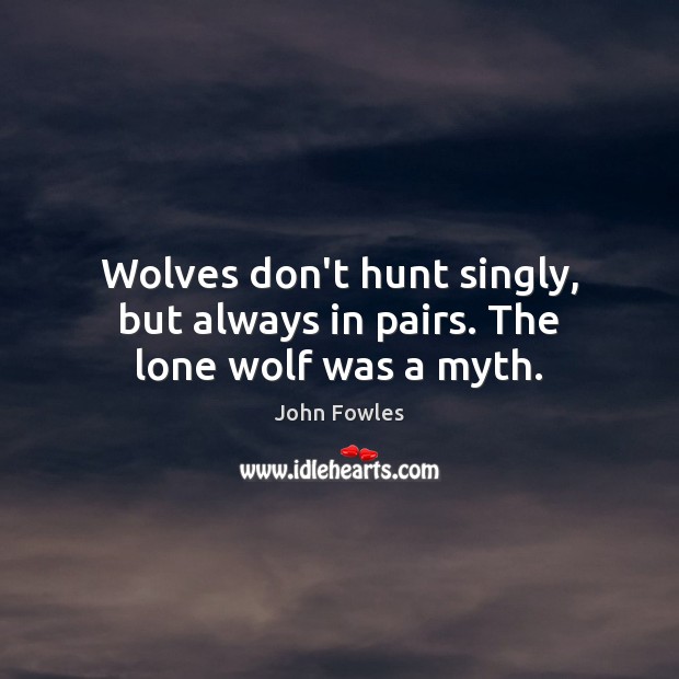 Wolves don’t hunt singly, but always in pairs. The lone wolf was a myth. Image
