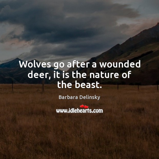 Wolves go after a wounded deer, it is the nature of the beast. Image