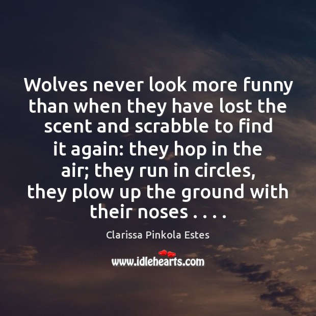 Wolves never look more funny than when they have lost the scent Clarissa Pinkola Estes Picture Quote