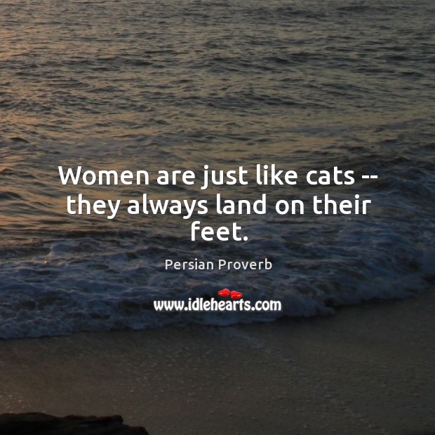 Women are just like cats — they always land on their feet. Persian Proverbs Image
