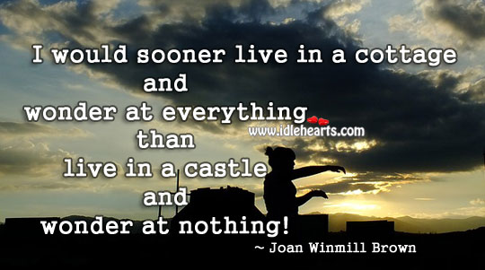 Wonder at everything Joan Winmill Brown Picture Quote