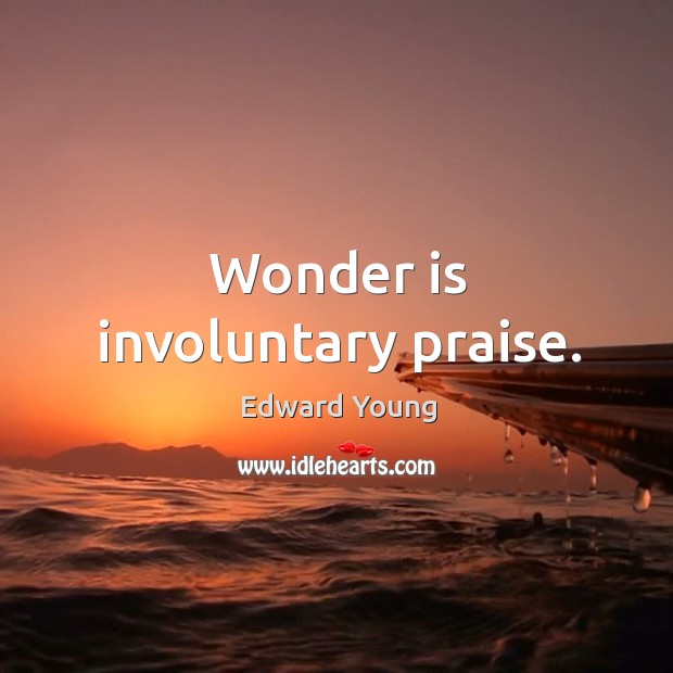 Wonder is involuntary praise. Image