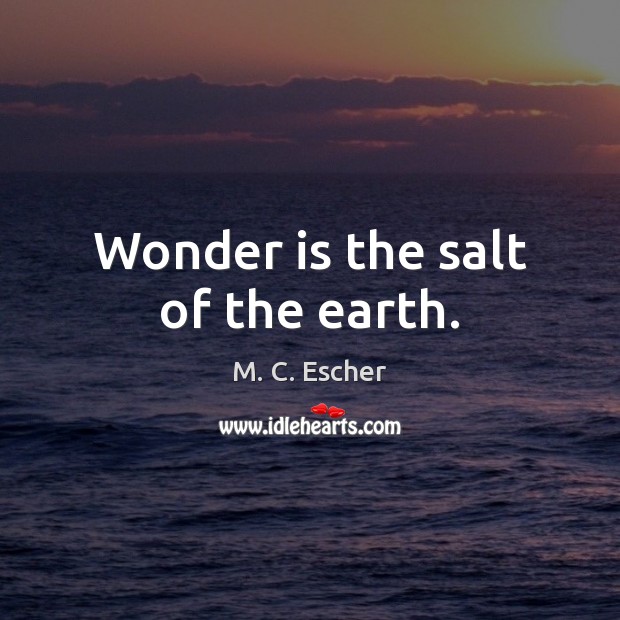 Wonder is the salt of the earth. M. C. Escher Picture Quote