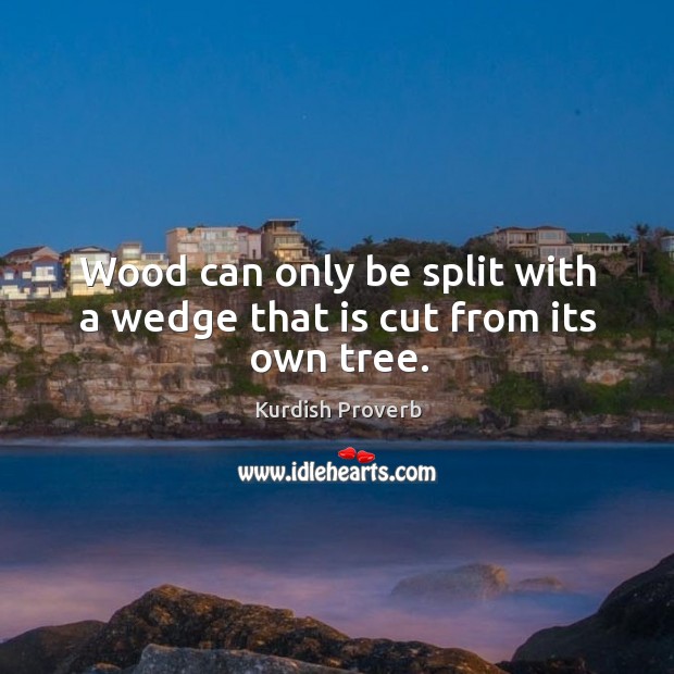 Wood can only be split with a wedge that is cut from its own tree. Kurdish Proverbs Image