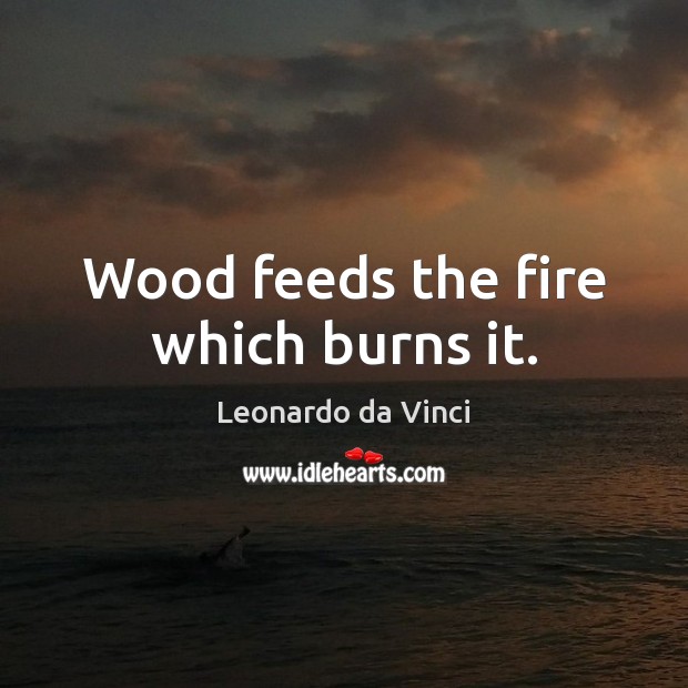 Wood feeds the fire which burns it. Image