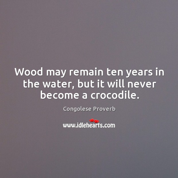 Wood may remain ten years in the water, but it will never become a crocodile. Congolese Proverbs Image
