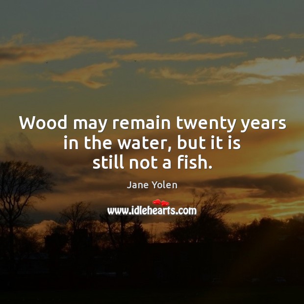 Wood may remain twenty years in the water, but it is still not a fish. Jane Yolen Picture Quote