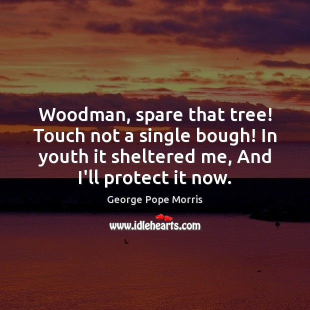 Woodman, spare that tree! Touch not a single bough! In youth it George Pope Morris Picture Quote
